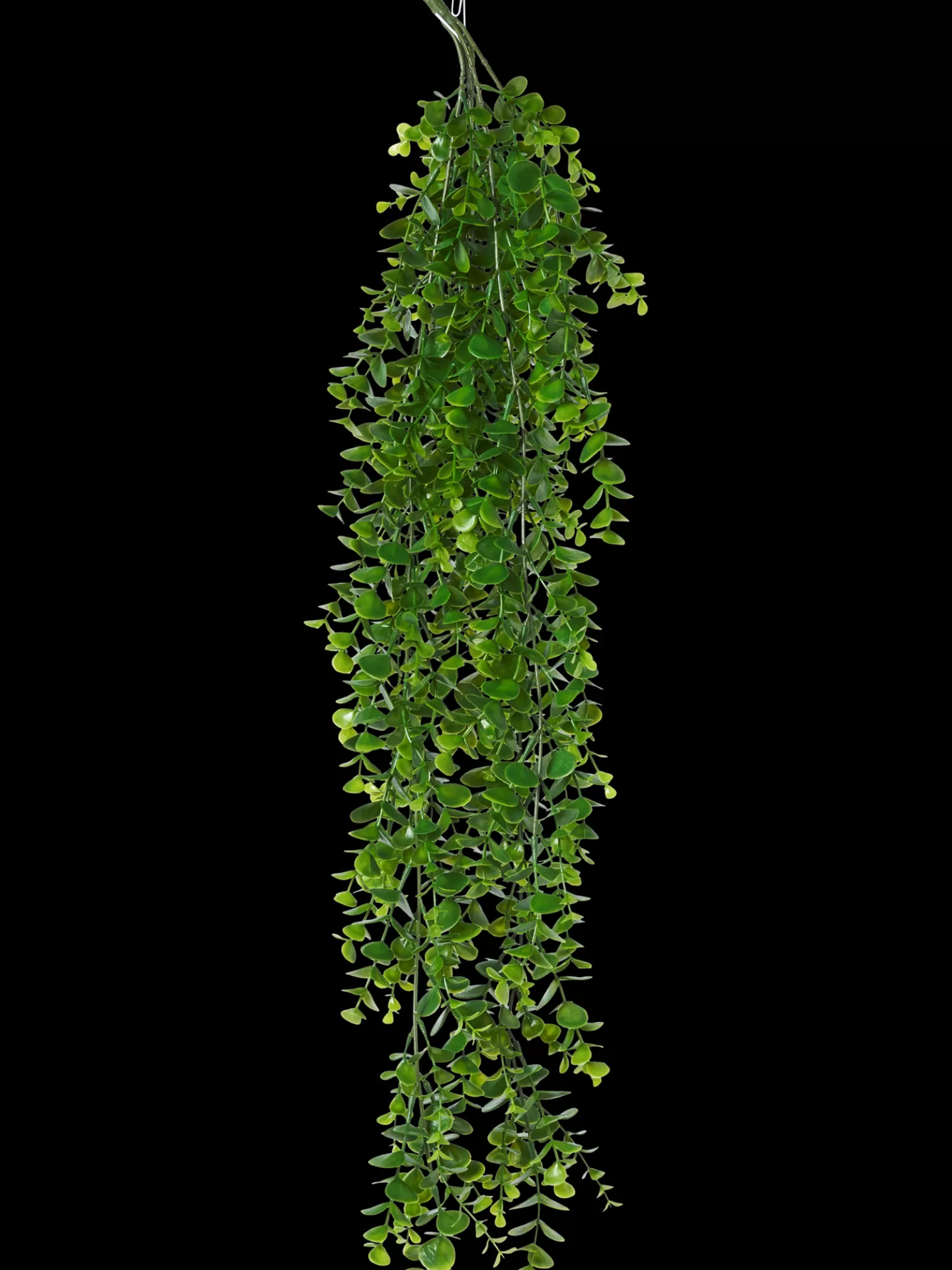 Sale Søstrene Grene Schweiz Künstlicher Eukalyptus Moss Green