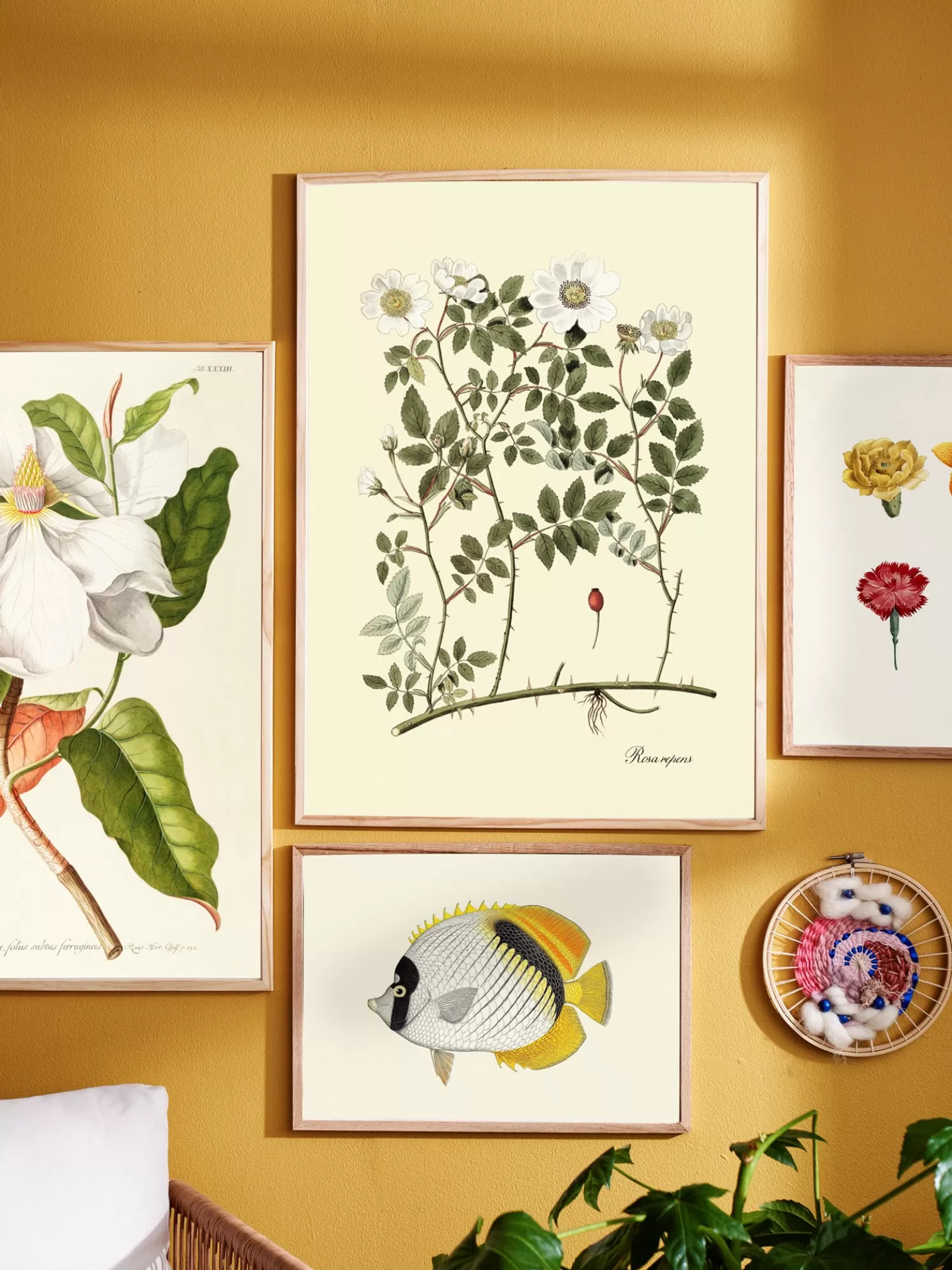 Hot Søstrene Grene Schweiz Poster 50 X 70 Multi